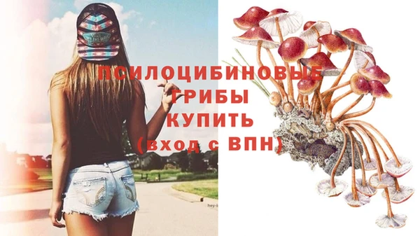 ECSTASY Абаза