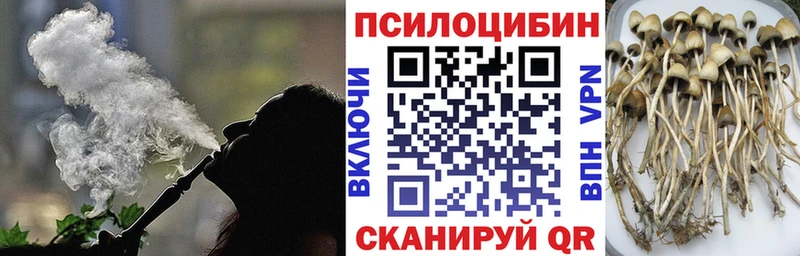 Галлюциногенные грибы прущие грибы  дарнет шоп  OMG ТОР  Алагир 